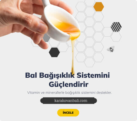 ban-2